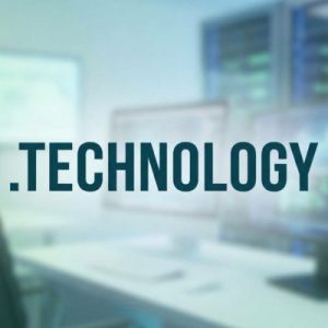 24/7 Technical Support, Strategy, and Expert Assistance- .TECHNOLOGY Domains