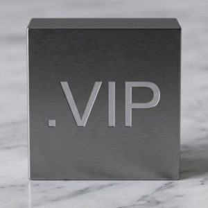 24/7 Technical Support, Strategy, and Expert Assistance- .VIP Domains