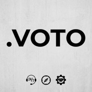 24/7 Technical Support, Strategy, and Expert Assistance- .VOTO Domains