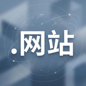 24/7 Technical Support, Strategy, and Expert Assistance- (.XN--5TZM5G) .网站 Domain