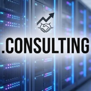 24/7 Technical Support, Strategy, and Expert Assistance of .CONSULTING Domains