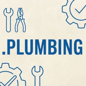 24/7 Technical Support, Strategy, and Expert Assistance of .PLUMBING Domain