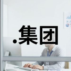 24/7 Technical Support, Strategy, and Expert Assistance of (.XN--3BST00M) .集团 Domain