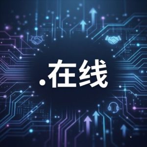 24/7 Technical Support, Strategy, and Expert Assistance of (.XN--3DS443G) .在线 Domain