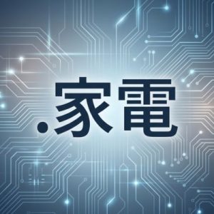 24/7 Technical Support, Strategy, and Expert Assistance of (.XN--FCT429K) .家電 Domain