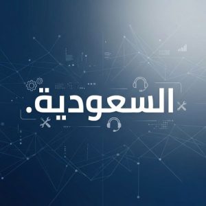 24/7 Technical Support, Strategy, and Expert Assistance of (.XN--MGBERP4A5D4AR) .السعودية Domain