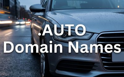 .AUTO Domain Names