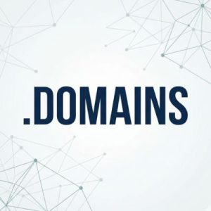 Advantages of Hosting Your .DOMAINS Domain with Hiya Digital