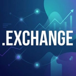 Advantages of Hosting Your .EXCHANGE Domain with Hiya Digital