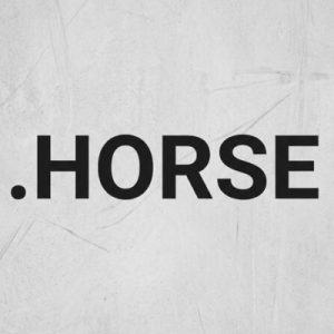 Advantages of Hosting Your .HORSE Domain with Hiya Digital