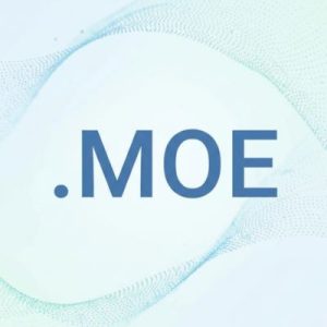 Advantages of Hosting Your .MOE Domain with Hiya Digital
