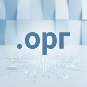 Advantages of Hosting Your (.XN--C1AVG) .орг Domain with Hiya Digital