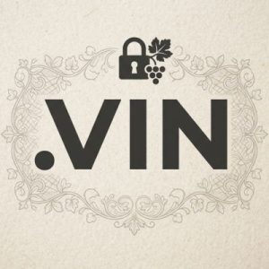 Built-in Security and Protection Features Of .VIN Domain