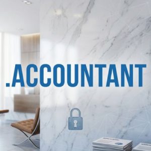 Built-in Security and Protection Features of .ACCOUNTANT Domain