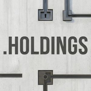 Built-in Security and Protection Features of .HOLDINGS Domains