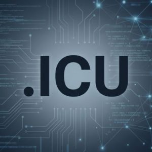 Built-in Security and Protection Features of .ICU Domains