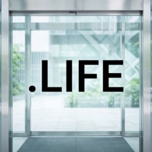 Built-in Security and Protection Features of .LIFE Domains