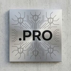 Built-in Security and Protection Features of .PRO Domain