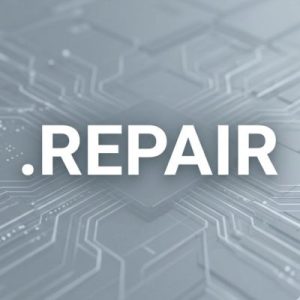Built-in Security and Protection Features of .REPAIR Domains