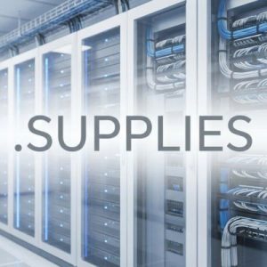 Built-in Security and Protection Features of .SUPPLIES Domains