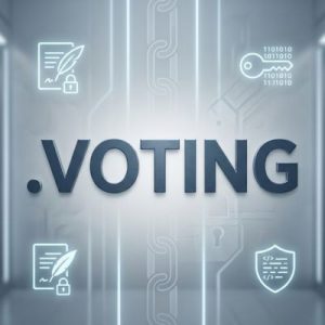 Built-in Security and Protection Features of .VOTING Domains