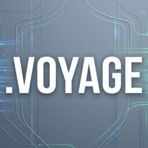 Built-in Security and Protection Features of .VOYAGE Domains