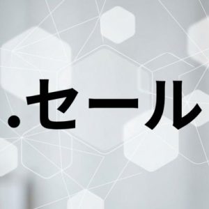 Built-in Security and Protection Features of (.XN--1CK2E1B) .セール Domains