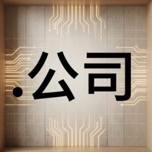 Built-in Security and Protection Features of (.XN--55QX5D) .公司 Domains