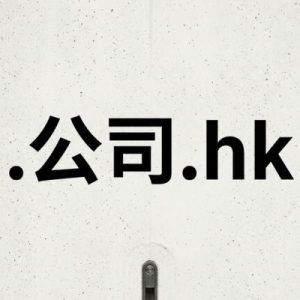 Built-in Security and Protection Features of (.XN--55QX5D.HK) .公司.hk Domains