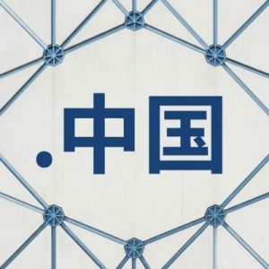 Built-in Security and Protection Features of (.XN--FIQS8S) .中国 Domains