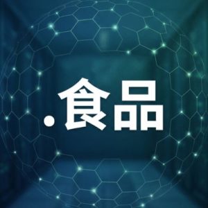 Built-in Security and Protection Features of (.XN--JVR189M) .食品 Domains