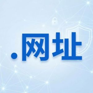 Built-in Security and Protection Features of (.XN--SES554G) .网址 Domains