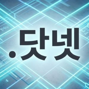 Built-in Security and Protection Features of (.XN--T60B56A) .닷넷 Domains