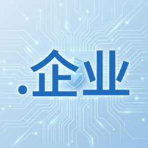 Built-in Security and Protection Features of .XN--VHQUV .企业 Domain