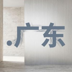 Built-in Security and Protection Features of (.XN--XHQ521B) .广东 Domains