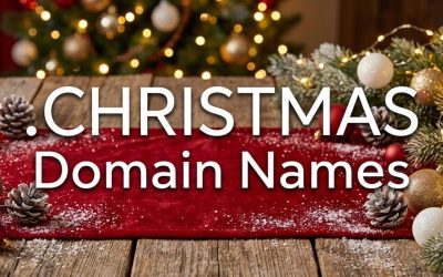 .CHRISTMAS Domain Names