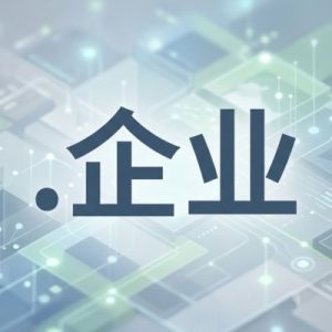 Complete .XN--VHQUV .企业 Domain Registration Workflow