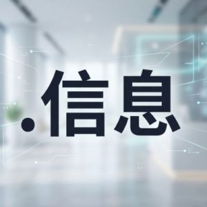 Complete (.XN--VUQ861B) .信息 Domain Registration Workflow