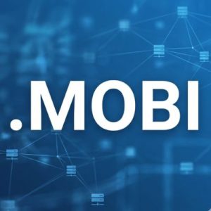 DNS Settings and Management for .MOBI Domains