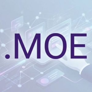 DNS Settings and Management for .MOE Domains