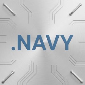 DNS Settings and Management for .NAVY Domains