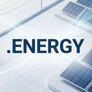 Eligibility Criteria for Registering a .ENERGY Domain