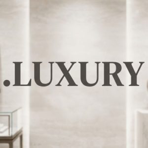 Eligibility Criteria for Registering a .LUXURY Domain