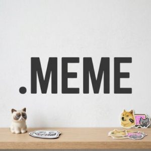 Eligibility Criteria for Registering a .MEME Domain