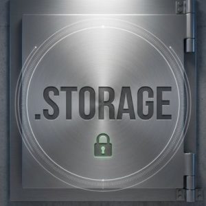 Eligibility Criteria for Registering a .STORAGE Domain