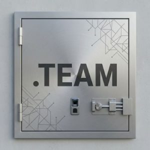 Eligibility Criteria for Registering a .TEAM Domain