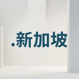 Eligibility Criteria for Registering a .XN--YFRO4I67O .新加坡 Domain