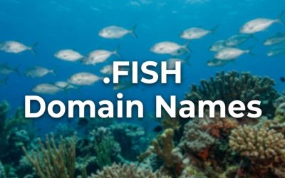 .FISH Domain Names