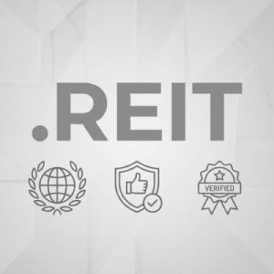 Global Recognition, Trust, and Credibility of .REIT Domains