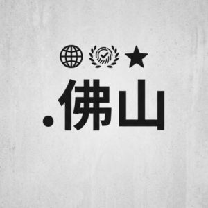 Global Recognition, Trust, and Credibility of (.XN--1QQW23A) .佛山 Domains